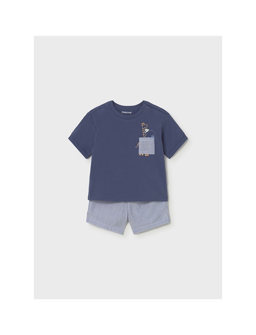 Conj. bermuda seersucker