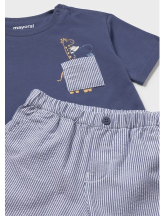 Conj. bermuda seersucker