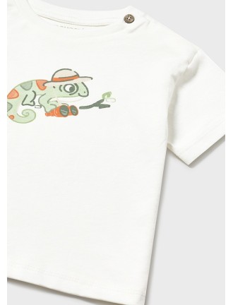 Conj. punto print con bucket