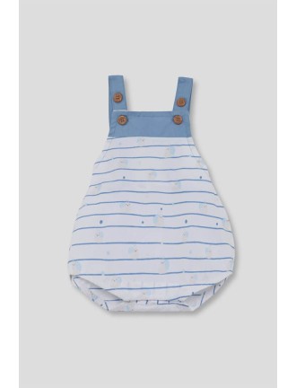 Peto rallas con caracoles