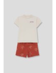 Conjunto palmeras