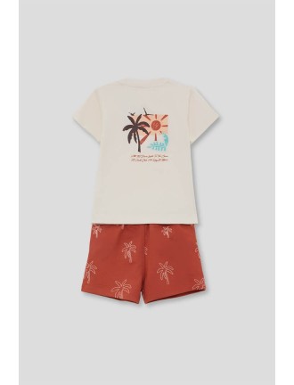 Conjunto palmeras