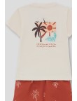 Conjunto palmeras