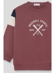 Sudadera baseball sports Street Monkey