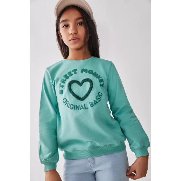Sudadera niña verde agua Street Monkey